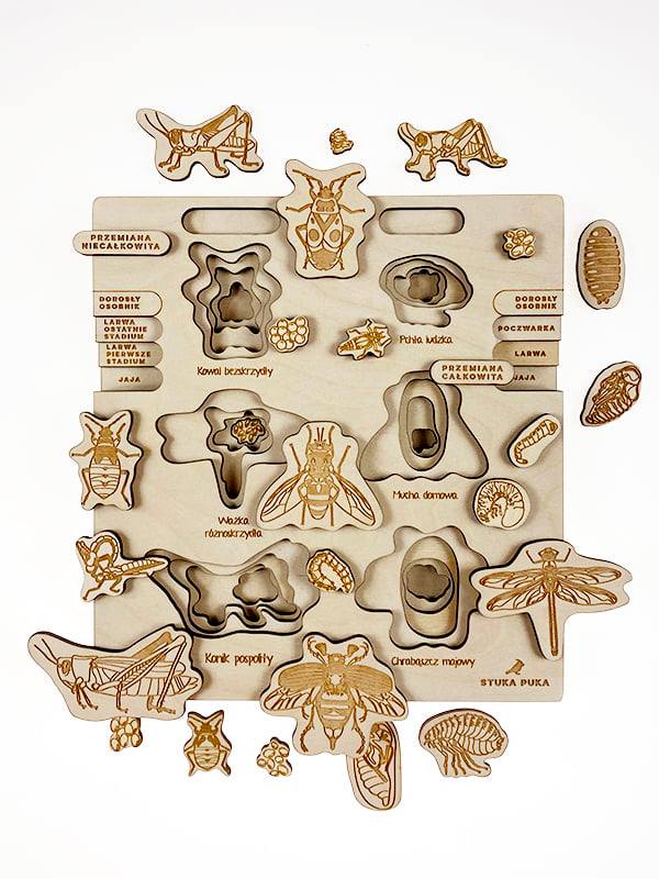 Puzzle multicouches le Cycle de vie des insectes 2 Stuka Puka