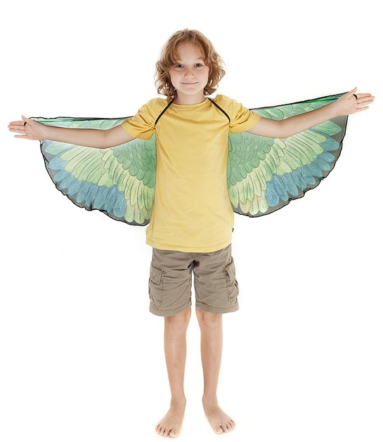 Générique Déguisement d'ailes pour petites filles, costume d'oiseau pour, Costume d'ailes de perroquet pour garçons, Costumes de déguisement ailes de pour garçons, filles, fils Générique Déguisement d'ailes pour petites filles, costume d'oiseau pour, Costume d'ailes de perroquet pour garçons, Costumes de déguisement ailes de pour garçons, filles, fils
