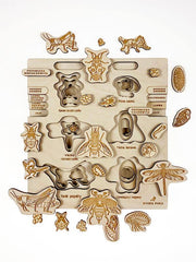 Puzzle multicouches le Cycle de vie des insectes 2 Stuka Puka