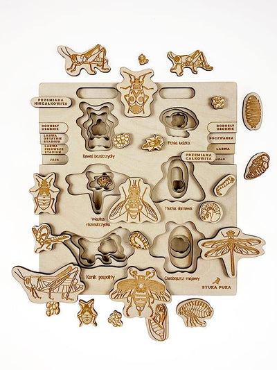 Puzzle multicouches le Cycle de vie des insectes 2 Stuka Puka