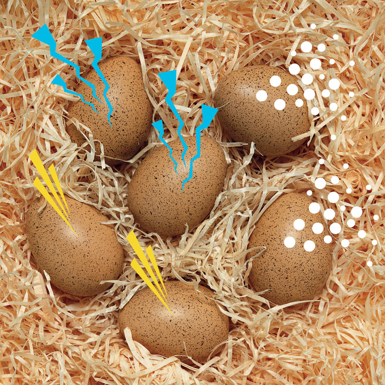 6 oeufs sonores sensoriels - Yellow Door