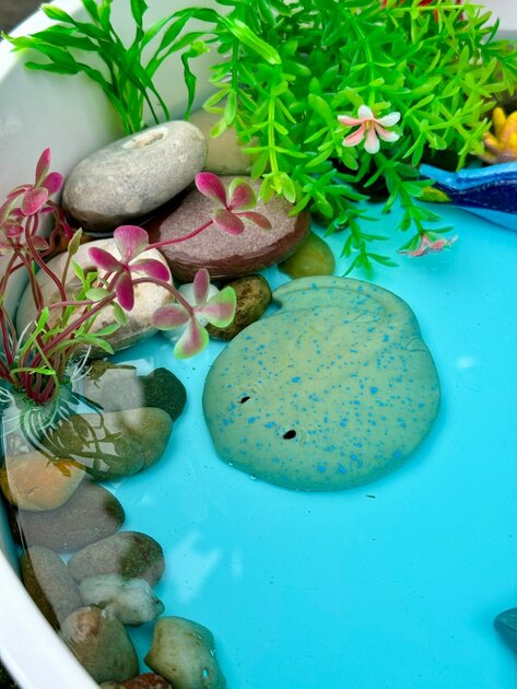 Poissons Pierres sensorielles Lot de 8 Yellow Door