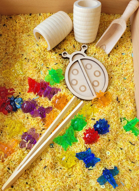 Pack complet Les insectes - Riz sensoriel