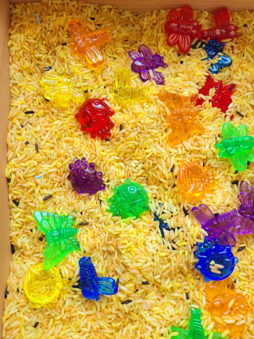 Pack complet Les insectes - Riz sensoriel