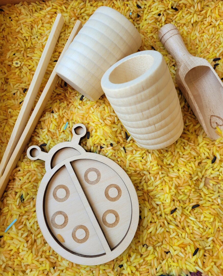 Pack complet Les insectes - Riz sensoriel
