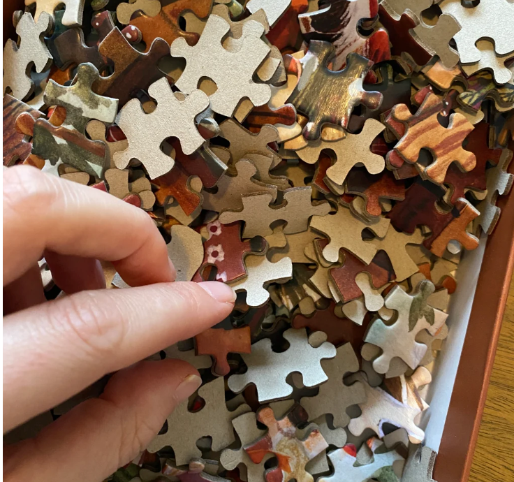 Puzzle Cosy Moment - 1000 pièces Illustratrice E. Bennink