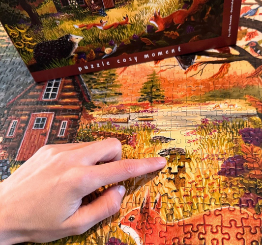 Puzzle Cosy Moment - 1000 pièces Illustratrice E. Bennink