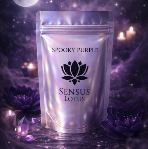 Sensus Lotus Poudre magique pour jeu sensoriel - Spooky Purple 30gr