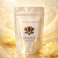 Sensus Lotus Poudre magique pour jeu sensoriel - Sunshine Yellow 30gr