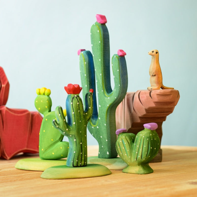 BumbuToys Cactus Figuier de Barbarie