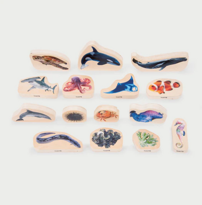 Tickit La vie Marine en bois - Lot de 15