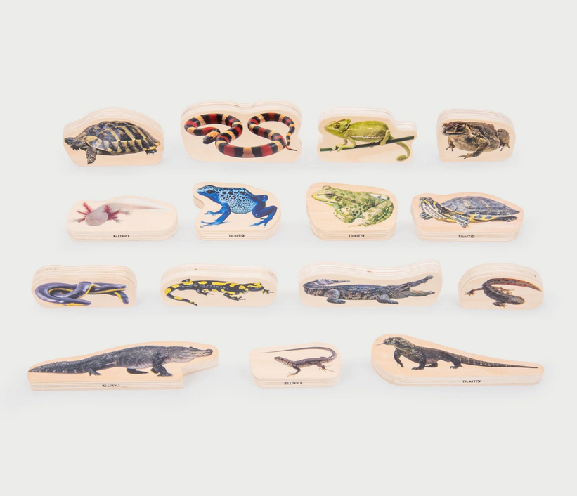 Tickit Reptiles et Amphibiens en bois - Lot de 15
