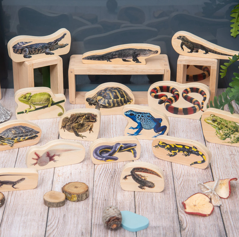 Tickit Reptiles et Amphibiens en bois - Lot de 15