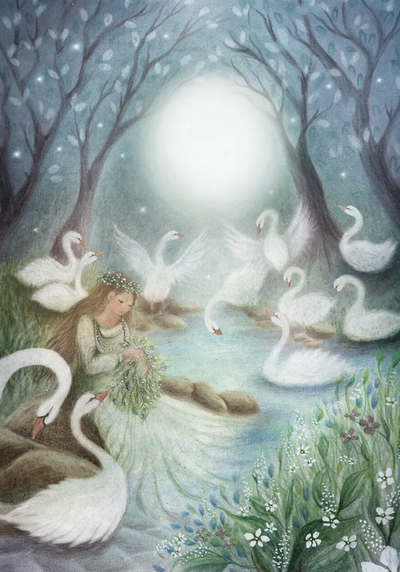 Carte Postale Wild Swans - Ilustratrice Bijdehansje