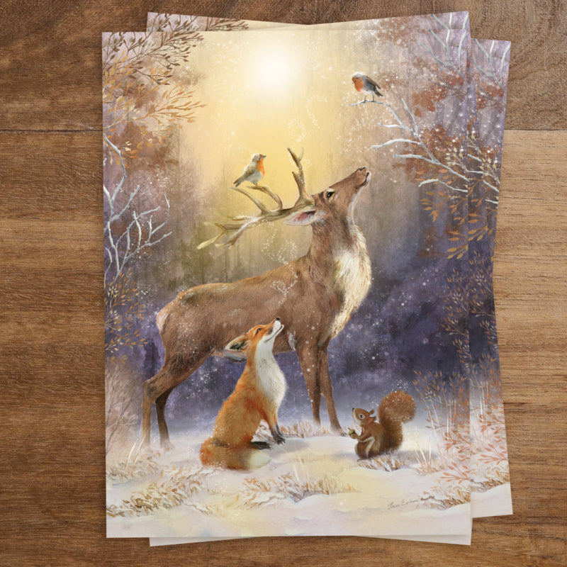 Carte Postale Winter Wonders