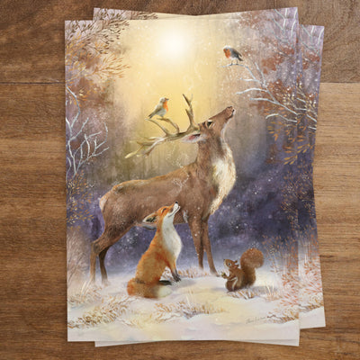 Carte Postale Winter Wonders