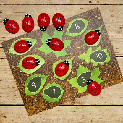 Cartes éducatives Apprendre à compter pour les pierres Coccinelles Yellow Door