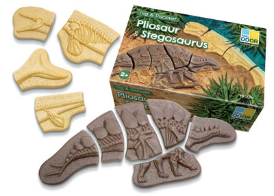 Creuser & découvrir Dinosaures - Pliosaure & Stegosaurus Yellow Door