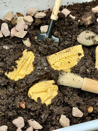 Creuser & découvrir Dinosaures - Pliosaure & Stegosaurus Yellow Door