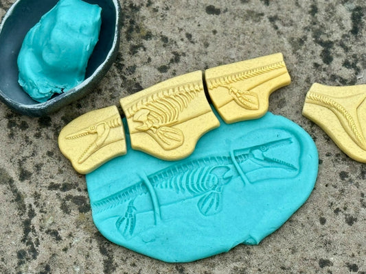 Creuser & découvrir Dinosaures - Pliosaure & Stegosaurus Yellow Door