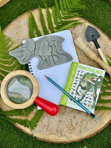 Creuser & découvrir Dinosaures - Triceratops & Spinosaurus Yellow Door