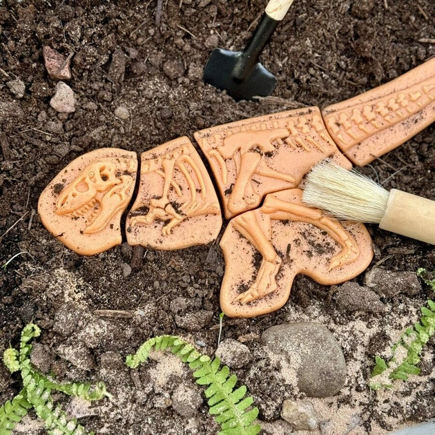 Creuser & découvrir Dinosaures - Yellow Door Ankylosaurus & Tyrannosaurus rex