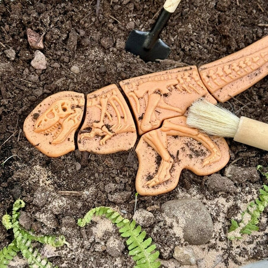 Creuser & découvrir Dinosaures - Yellow Door Ankylosaurus & Tyrannosaurus rex