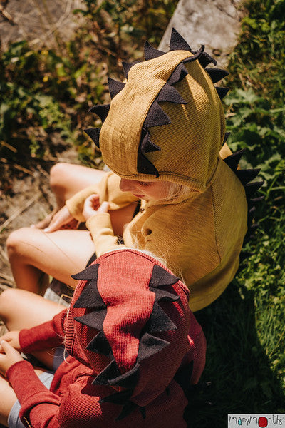 MANYMONTHS Pull à capuche DINO - coloris 2023