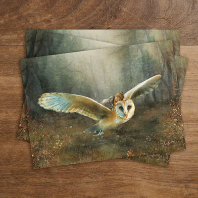 Carte Postale Dreamflight