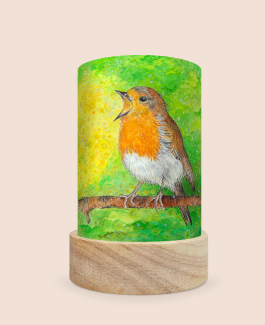 Image Light Wish - Singing Robin - Illustration Eentje Van Margo