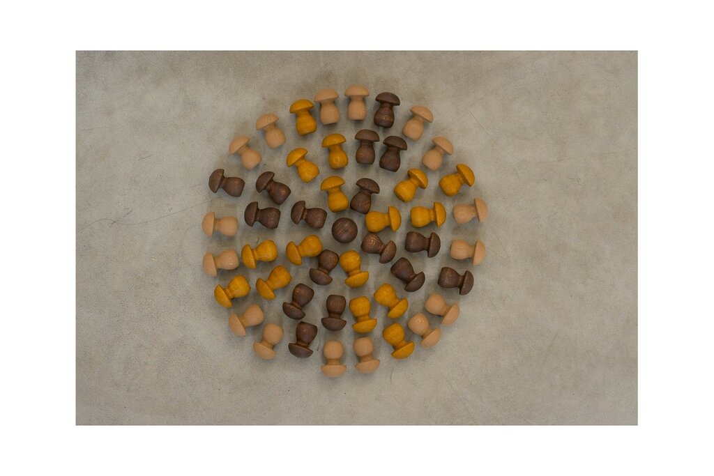 Mandala Mini champignons en bois - Lot de 36 Grapat