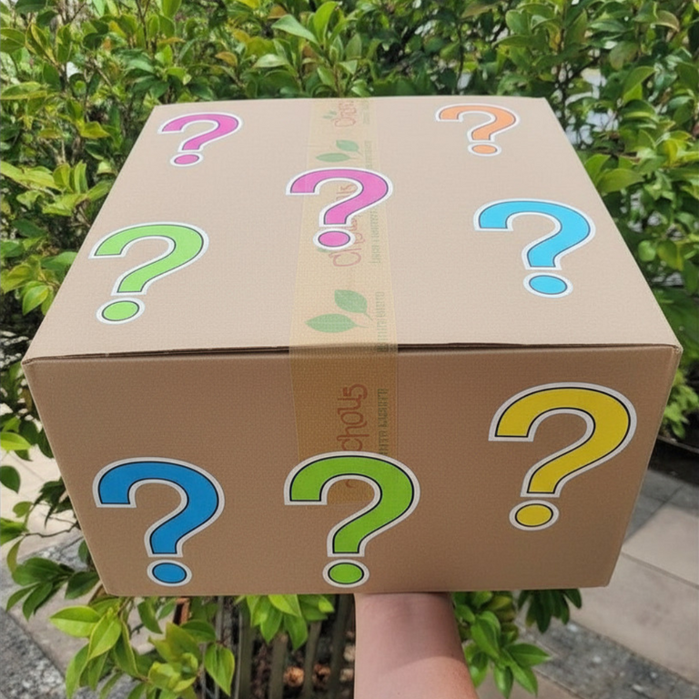 Mysterybox
