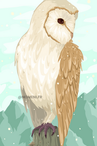 Carte Postale Hibou - Ilustratrice Nomeni