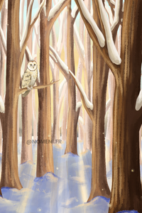 Carte Postale Dans la Forêt - Ilustratrice Nomeni