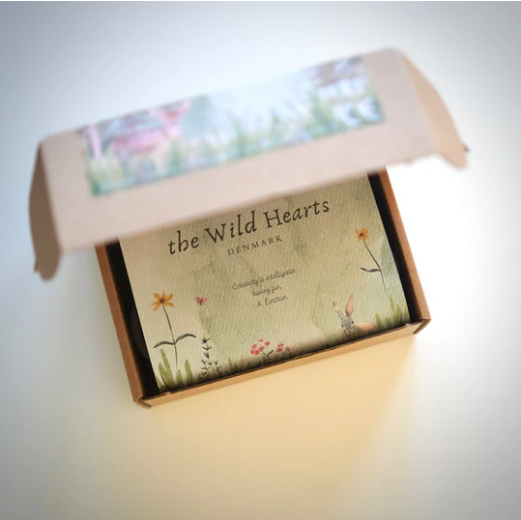 Pâte à modeler Wild Hearts Nordic
