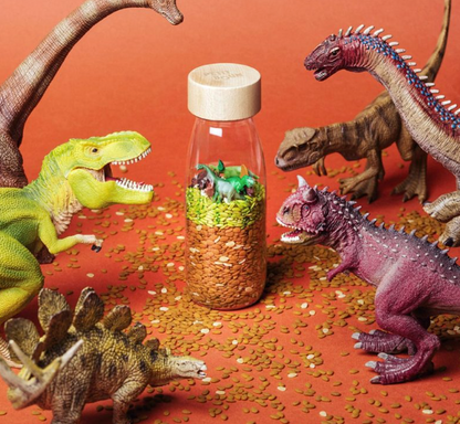 Petit Boum Bouteille sensorielle Cache cache Jurassic Dinos
