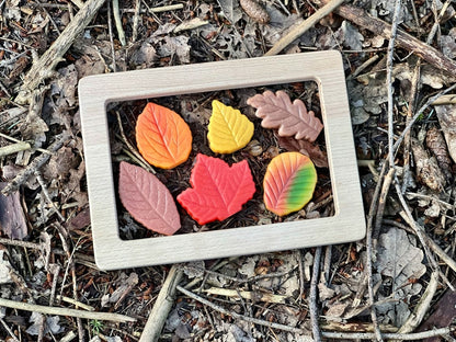 Pierres Sensorielles Feuilles Lot de 12 - Yellow Door