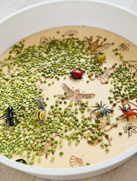 PlayPlayte Insectes pour le PlayTray - Kiddi