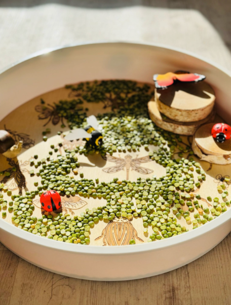 PlayPlayte Insectes pour le PlayTray - Kiddi