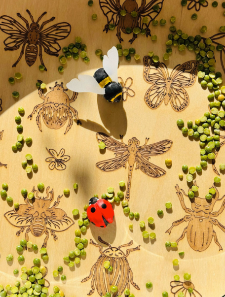 PlayPlayte Insectes pour le PlayTray - Kiddi
