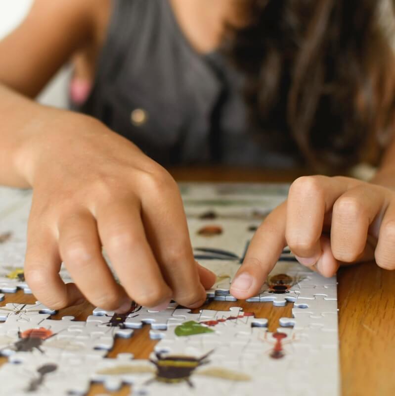 Puzzle Insectes 500 pièces Poppik