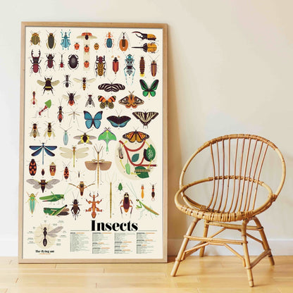 Poster géant + 44 stickers Insectes Poppik
