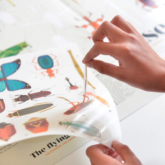 Poster géant + 44 stickers Insectes Poppik
