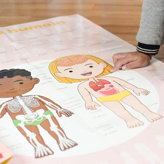 Poster géant + 49 stickers Le corps humain Poppik
