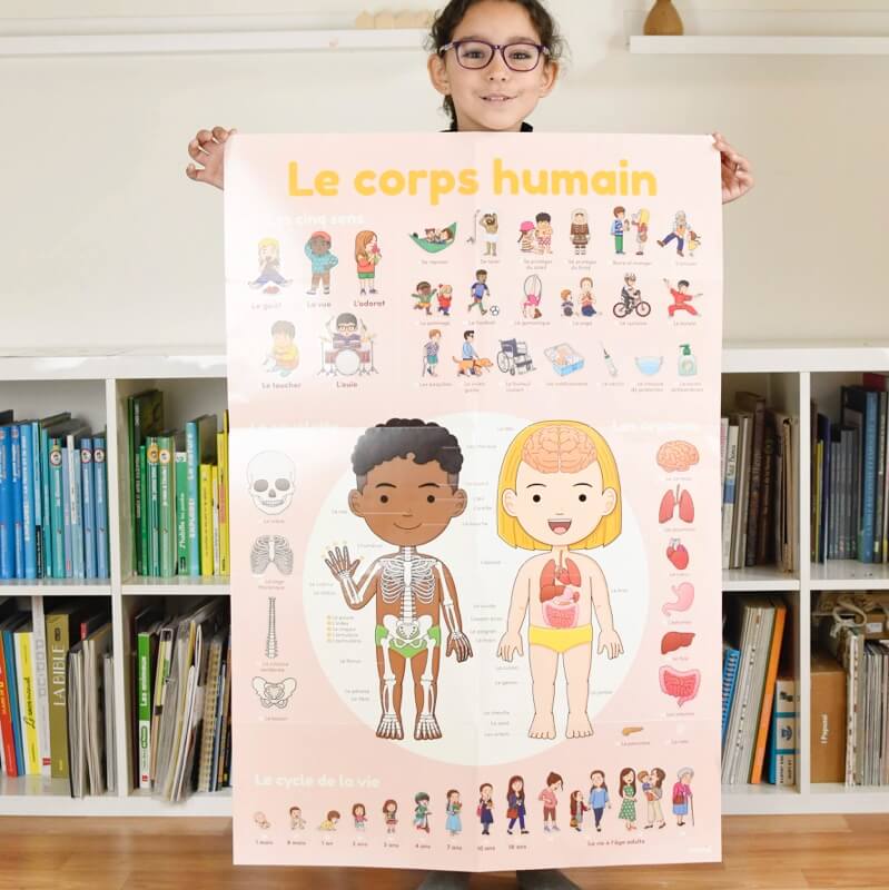 Poster géant + 49 stickers Le corps humain Poppik