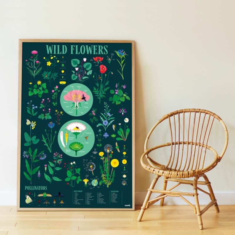 Poster pédagogique Jardin Botanique - 72 autocollants Poppik