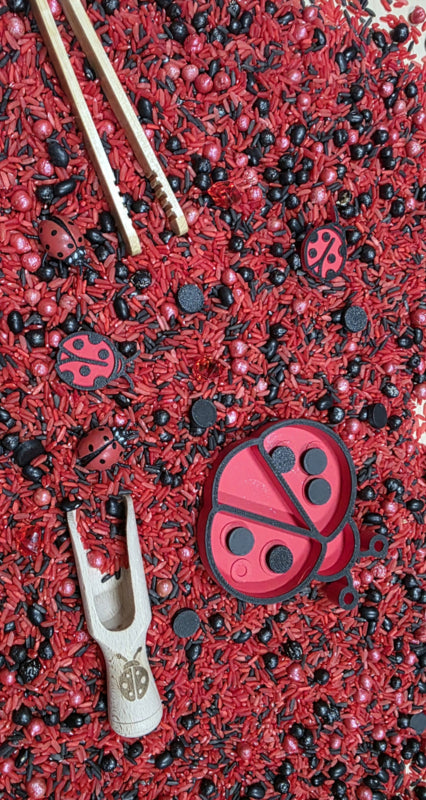 Pour and Play Mix Coccinelles Lot complet pour le jeu sensoriel - SensoryFun