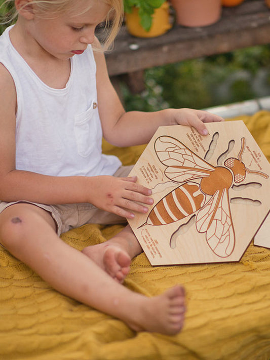 Puzzle en bois Anatomie de l'abeille Stuka Puka