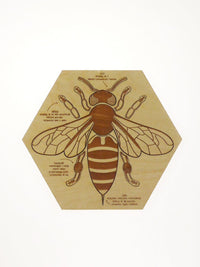 Puzzle en bois Anatomie de l'abeille Stuka Puka