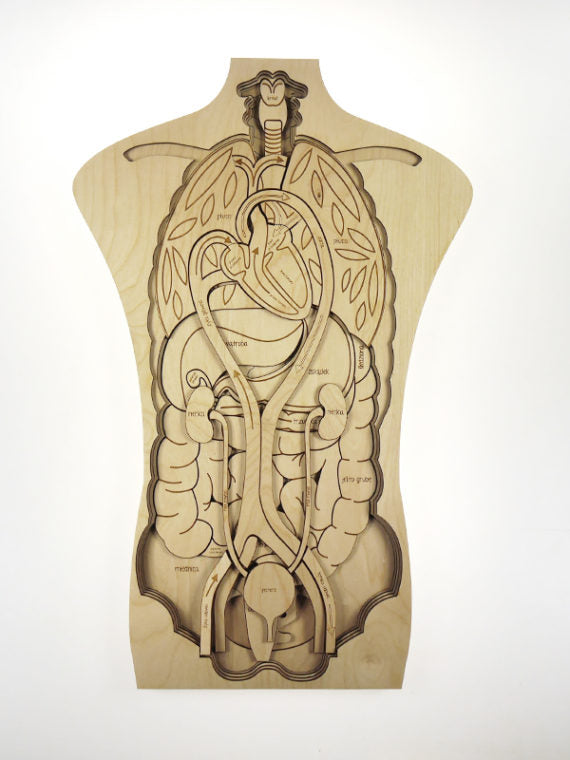 Puzzle géant Anatomie de notre corps Stuka Puka